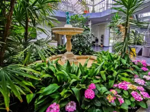 Almanya’nın Tropik Bahçeleri: Şehirlerde Yeşil Cennetler